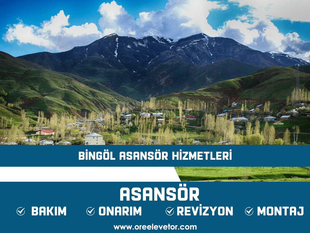 Bingöl Asansör Hizmetleri