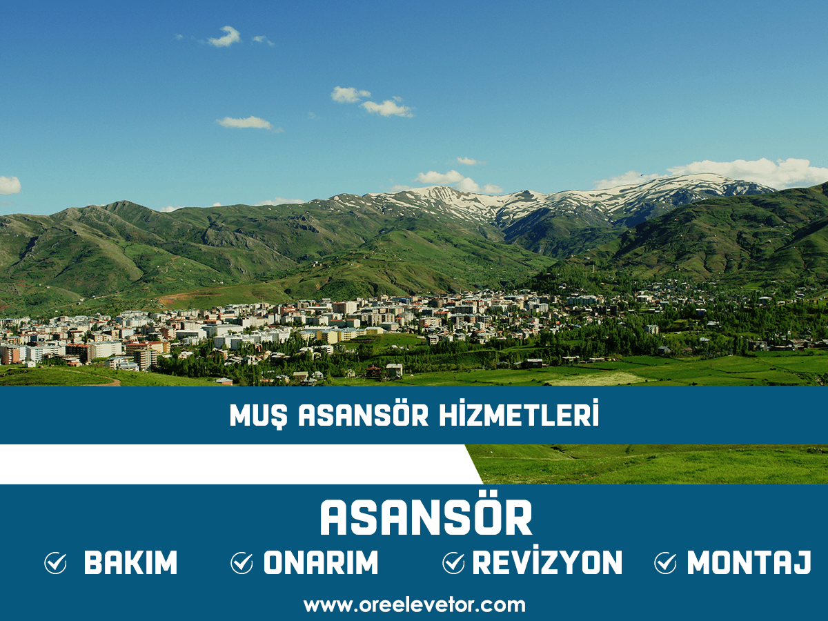 Muş Asansör Hizmetleri