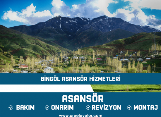Bingöl Asansör Hizmetleri