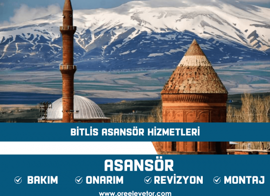 Bitlis Asansör Hizmetleri