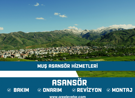 Muş Asansör Hizmetleri