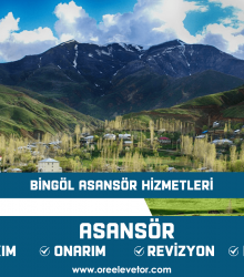 Bingöl Asansör Hizmetleri