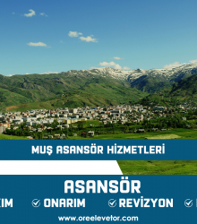 Muş Asansör Hizmetleri