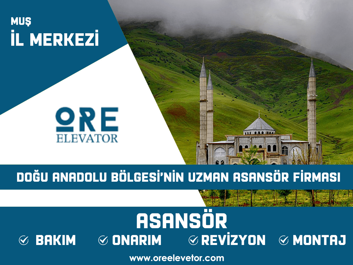 Muş - İl Merkezi Asansör Hizmetleri