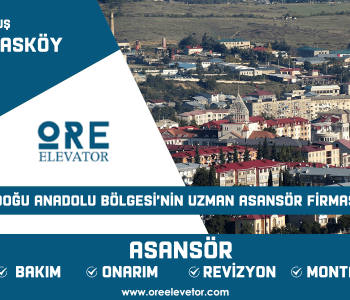 Muş - Hasköy Asansör Hizmetleri