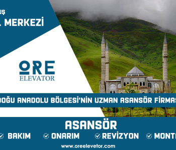 Muş - İl Merkezi Asansör Hizmetleri