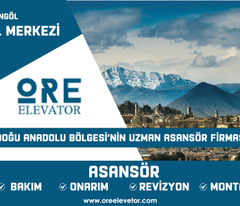 Bingöl - İl Merkezi Asansör Hizmetleri