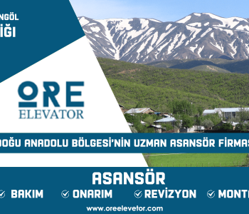 Bingöl - Kiğı Asansör Hizmetleri