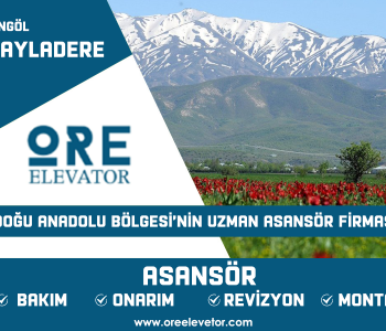 Bingöl - Yayladere Asansör Hizmetleri