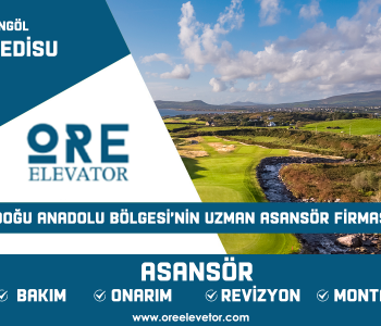 Bingöl - Yedisu Asansör Hizmetleri