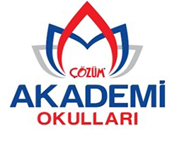 Çözüm Okulları
